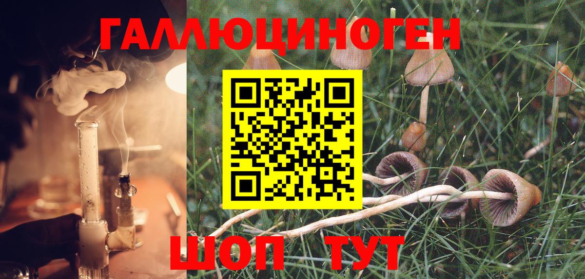 наркота  Псилоцибиновые грибы Magic Shrooms  Вход с VPN  Псилоцибиновые грибы Psilocybine cubensis  Лангепас 