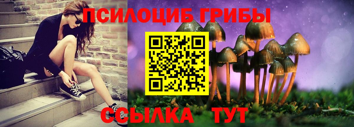 Псилоцибиновые грибы Psilocybine cubensis Лангепас